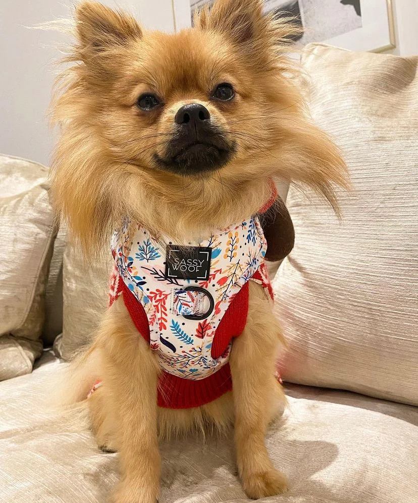 Peach please Harness - Image 3