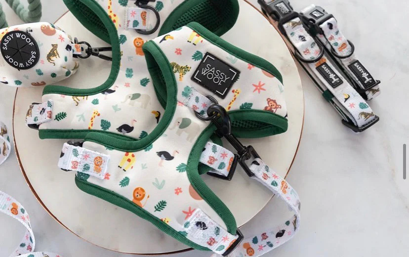 Pumkin latte harness - Image 3