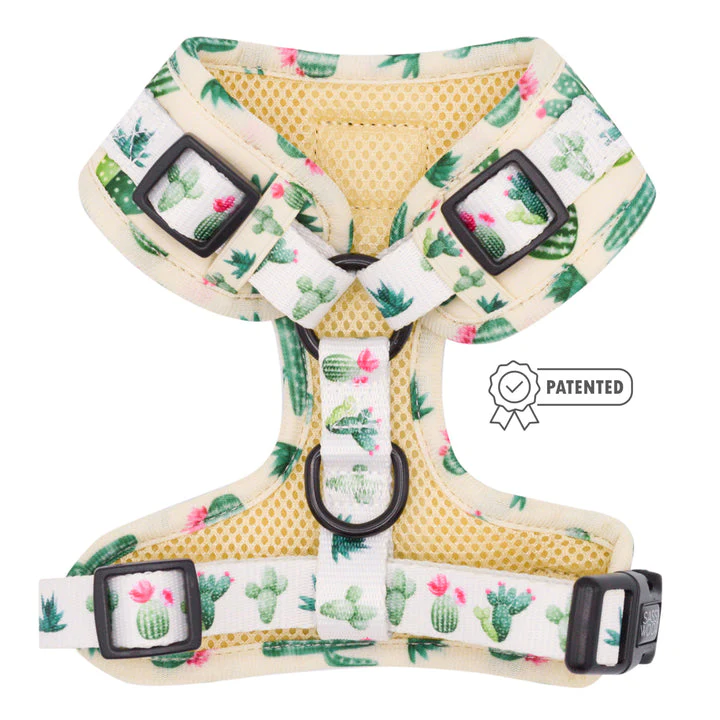 sass on point harness - Image 4