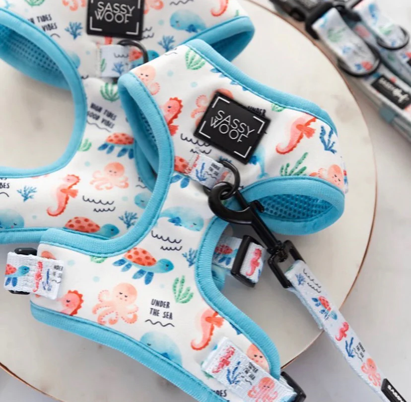 sea la vie harness - Image 4