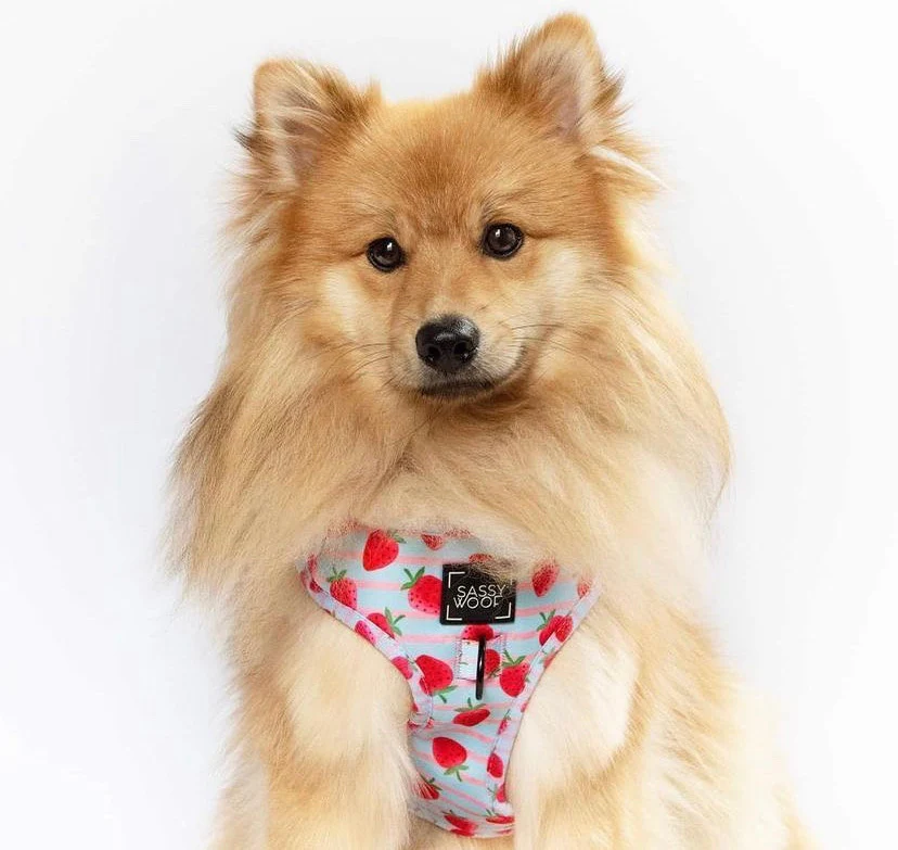 strawberry dream Harness - Image 6